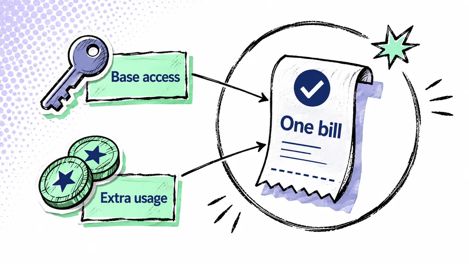 Sketch-comic showing a fixed access component and a variable extra-usage component contribute separately to one bill.